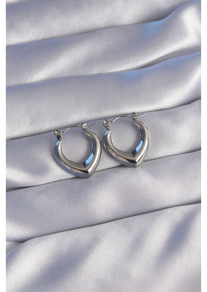 316L Çelik Gümüş Renk Içi Oval Tasarımlı Küpe - Lisinya