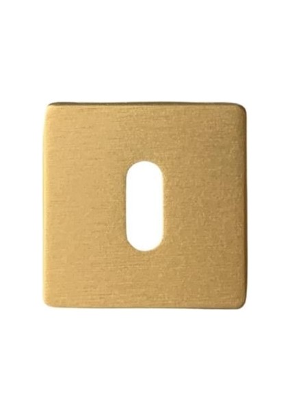 RO11 Kapı Kolu Rozeti Oda Fırçalı Mat Altın 52X52X9 mm