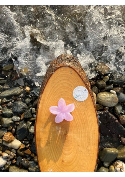 Mor Renk Lotus Toka fiyatları