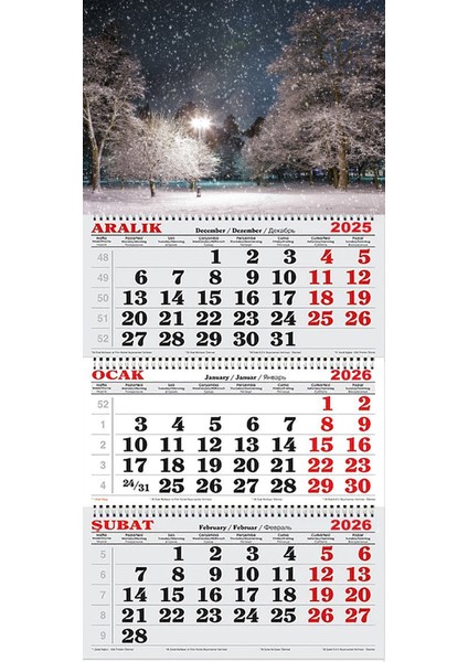 2026 Yılı Gemici Takvimi- Kar Yağışı ve Ağaçlar