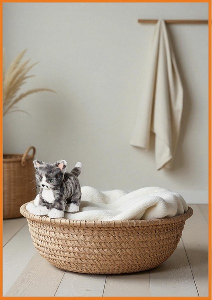 Kedi Peluş Yumuşak Oyuncak Plastik Içermez Makinede Yıkanabilir Bebek ve Çocuk Sağlığına Uyumlu Gri indirimleri