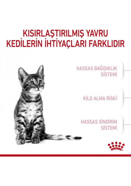 Sterilised Kısırlaştırılmış Yavru Kediler Için Kuru Kedi Maması 2