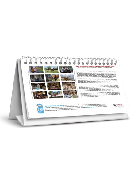 2026 Masa Takvimi modelleri