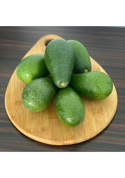 Fuerte Avokado 160-200 gr | Dalından Taze Hasat & Doğal Avokado | Yerel Üreticiden