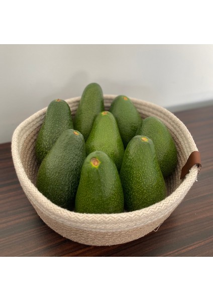 Fuerte Avokado 160-200 gr | Dalından Taze Hasat & Doğal Avokado | Yerel Üreticiden fiyatları
