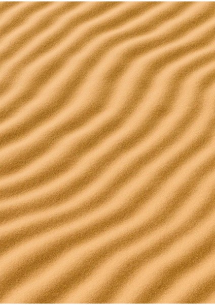 Sonsuz Kum Vinil Backdrop – Doğal Kum Dokusu Fotoğraf Arka Planı (80×120 Cm) fiyatları
