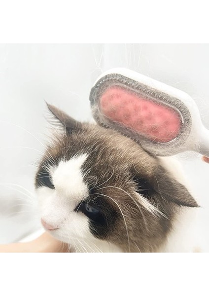 Kedi Köpek Tüy Toplama Tarağı fırsatları