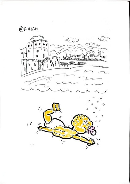 Resad Sultanovic 29X21CM Orijinal Karikatür Tablo modelleri