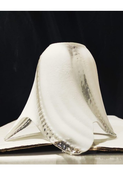 Avize Camı Orjinal Kaplamasız