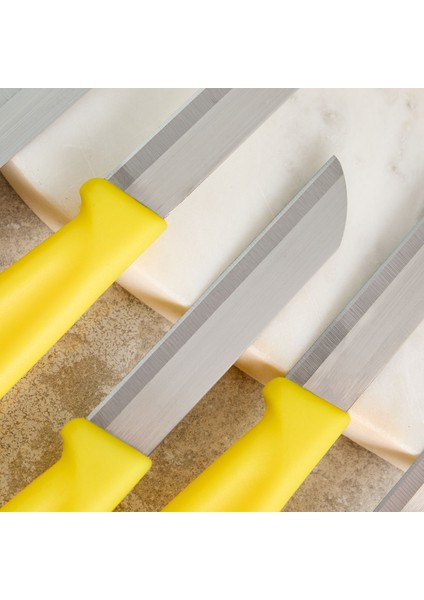 Mira 6 Parça Meyve Bıçak Seti Sarı modelleri