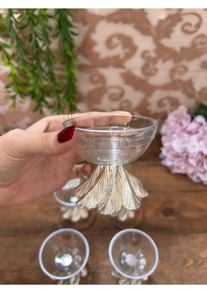 6 Lı Büyük Gümüş Lokumluk fiyatları