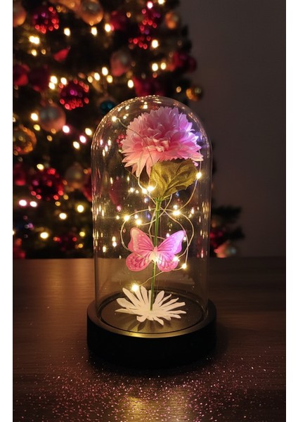 Ne Ilk Kasım, Ne Ilk Kasımpatı. Ne Son Kasımımız , Ne De Son Kasımpatın.kasımpatı Buketi 24 Kasım Öğretmenlergünü