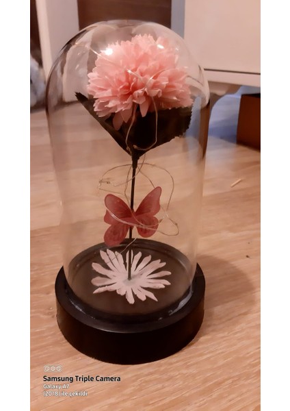 Ne Ilk Kasım, Ne Ilk Kasımpatı. Ne Son Kasımımız , Ne De Son Kasımpatın.kasımpatı Buketi 24 Kasım Öğretmenlergünü fiyatları