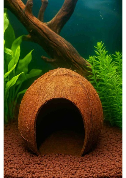 Doğal Akvaryum Yuvası – Saklanma ve Yavrulama Alanı - Testi