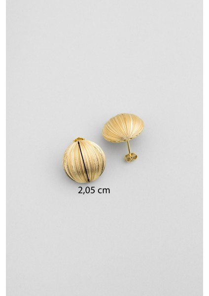 Elara Yıldızı 18 Ayar Sarı Altın Kaplama Gümüş Küpe modelleri