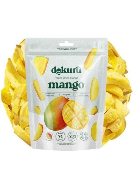 Dekuru Freeze Dried Mango 20G – Dondurularak Kurutulmuş Doğal Mango Atıştırmalığı