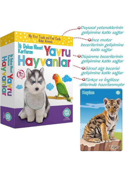 Dokun Hisset Yavru Hayvanlar 18 Kart,36 Görsel fiyatları