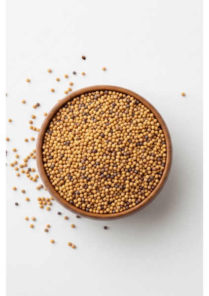 Hardal Tohumu - ( Elenmiş, Katkısız,organik ) 1000GR fiyatları