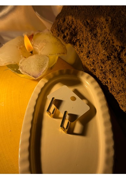 Kare Detaylı Gümüş Çelik Küpe