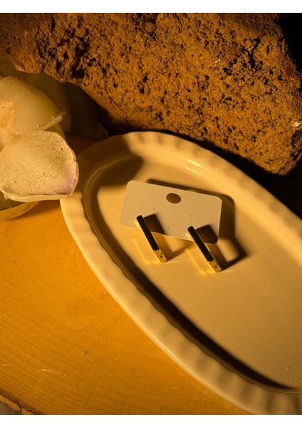 Kare Detaylı Gümüş Çelik Küpe fiyatları