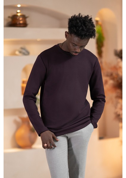 Modal Esnek Kumaş Regular Fit Mevsimlik Sweatshirt