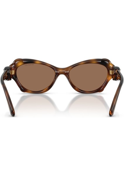 Güneş Gözlüğü SK6050 52 100273 fiyatları