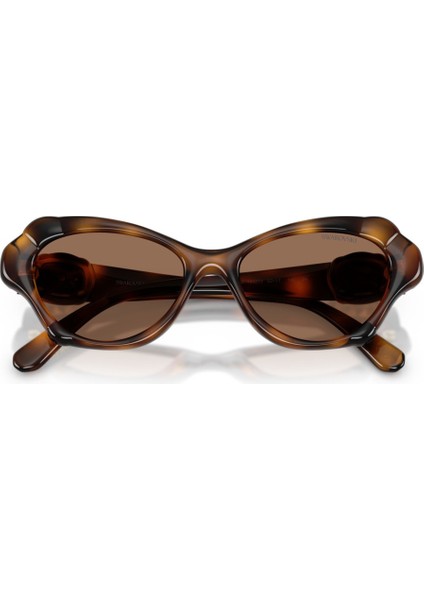 Güneş Gözlüğü SK6050 52 100273 modelleri