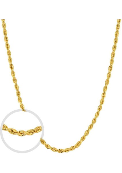 Altın Burgu Zincir Kolye - 14K