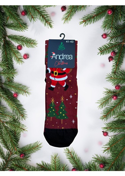 Erkek Tekli Yılbaşı Hediyelik Çorap