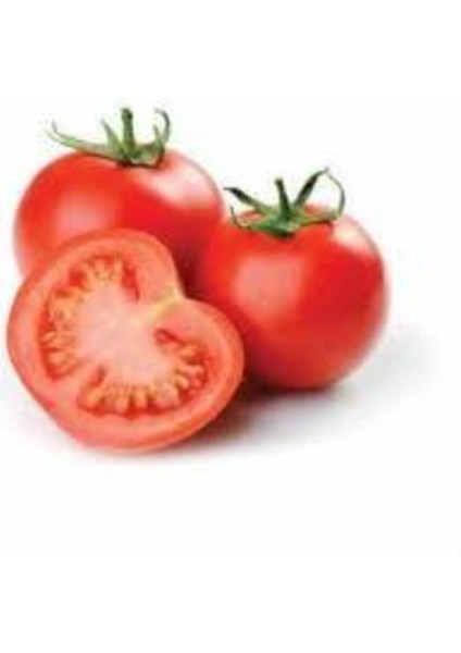 25 Adet Tohum Falcon Domates Tohumu Bol Verim Domates Tohumu Ata Tohum Sürpriz Hediye Tohumludur