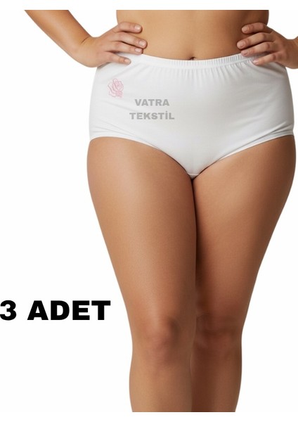 3'lü Set Büyük Beden Battal Kadın Külot – Yüksek Bel Rahat ve Esnek Pamuklu