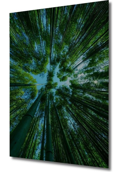 Yeşil Orman Ahşap Dekoratif Tablo Sulu Boya Görünümlü Sanat Eseri Dikdörtgen Tablo modelleri