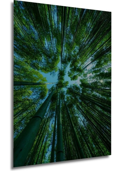 Yeşil Orman Ahşap Dekoratif Tablo Sulu Boya Görünümlü Sanat Eseri Dikdörtgen Tablo fırsatları