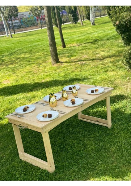 Kamp Balkon ve Yemek Masası Özel Tasarım Masa, 2 Kademe Ayaklı, KATLANABILIR,55X110 cm Ham fırsatları