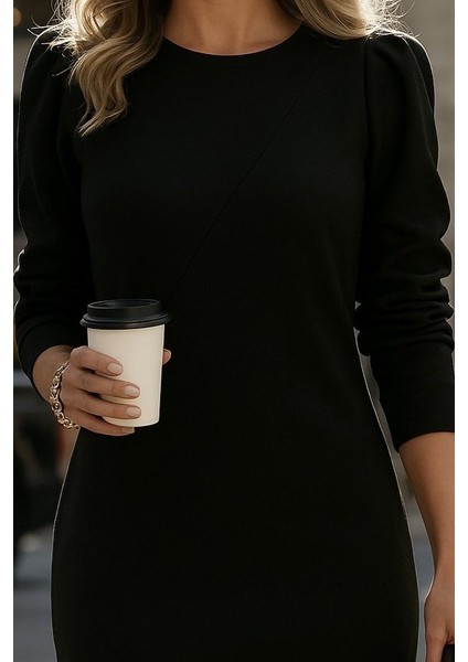 Kadın Uzun Kollu Bisiklet Yaka Iki Iplik Elbise fiyatları