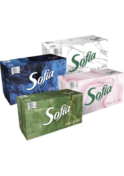 Mendil Kutu 100'LU 1 Adet