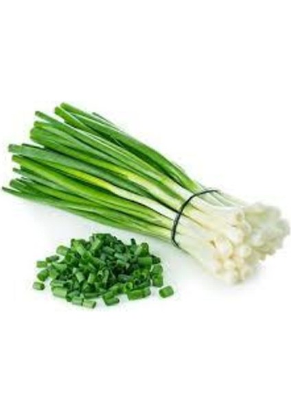 50 Adet Tohum Yeşil Taze Firik Soğan Tohumu Acısız Saksı Toprak Sürpriz Hediye Tohum