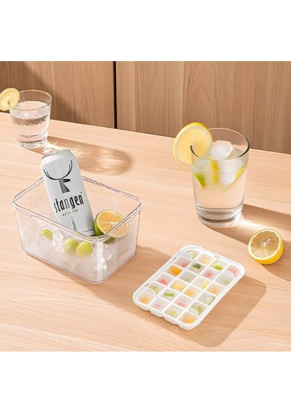 Büyük Kapasiteli Buz Yapma ve Saklama Kabı modelleri