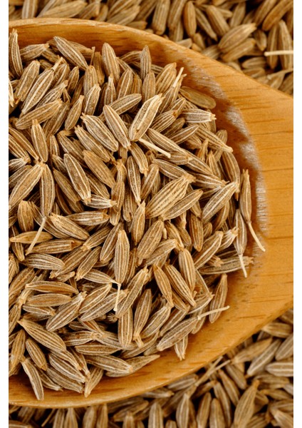 Kimyon Tohumu Tane - ( Elenmiş, Katkısız ) 50GR modelleri