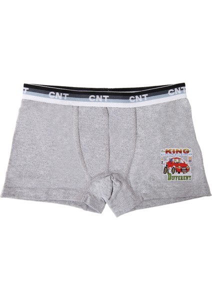 Erkek Çocuk 6'lı Karışık Baskılı Kutulu Boxer