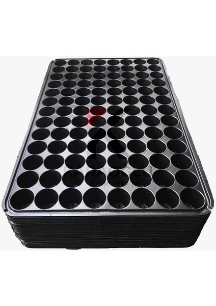 3 Adet 45 Göz Fide Viyol Fide Altlığı Fide Viyolü Fidelik