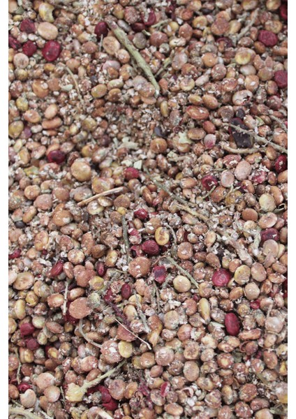 Tane Sumak - (Organik, Yeni Mahsül,katkısız) 50GR fiyatları