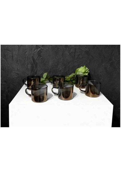 6' Lı Füme Cam Kupa Kahve Fincanı -Isıya Dayanıklı, Minimal Tasarım, 120 cc