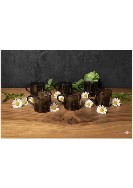 6' Lı Füme Cam Kupa Kahve Fincanı -Isıya Dayanıklı, Minimal Tasarım, 120 cc modelleri