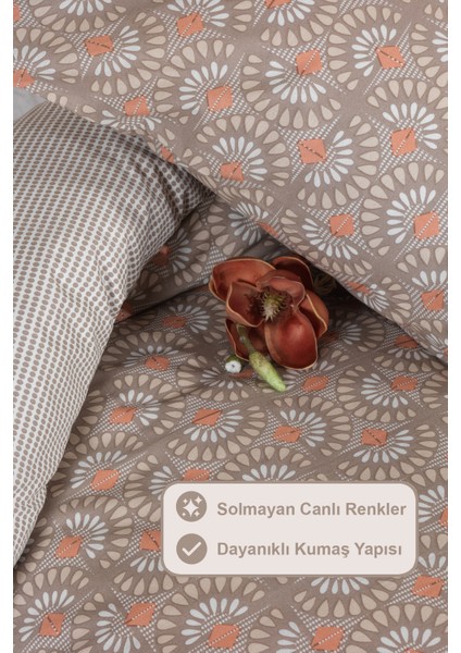 Castor Nevresim Takımı King Size (240X220 Cm) Bej modelleri