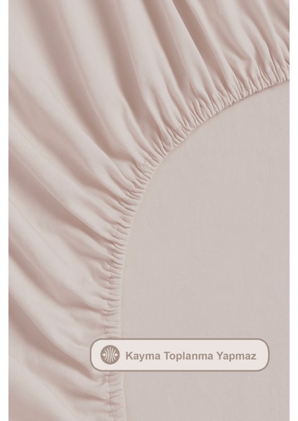 Castor Nevresim Takımı King Size (240X220 Cm) Bej