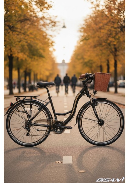 Sandy Şehir Bisikleti 43 cm V Fren 26 Jant 21 Vites Mat Siyah Gold modelleri