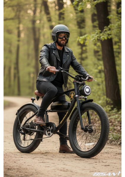 Rider Elektrikli Bisiklet 46 cm Disk Fren 26 Jant 7 Vites Mat Siyah Yeşil modelleri