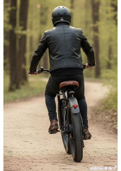 Rider Elektrikli Bisiklet 46 cm Disk Fren 26 Jant 7 Vites Mat Siyah Yeşil fırsatları