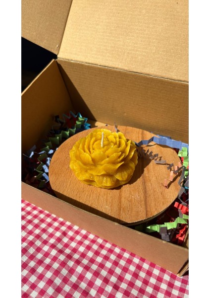 Balmumu Gül Modeli Mum fiyatları